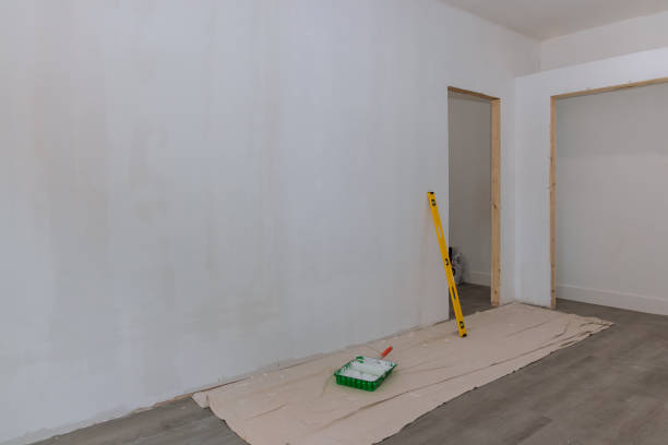 Best Mold Remediation for Healthcare Facilities  in Frankston, TX