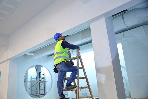 Best Black Mold Removal  in Frankston, TX